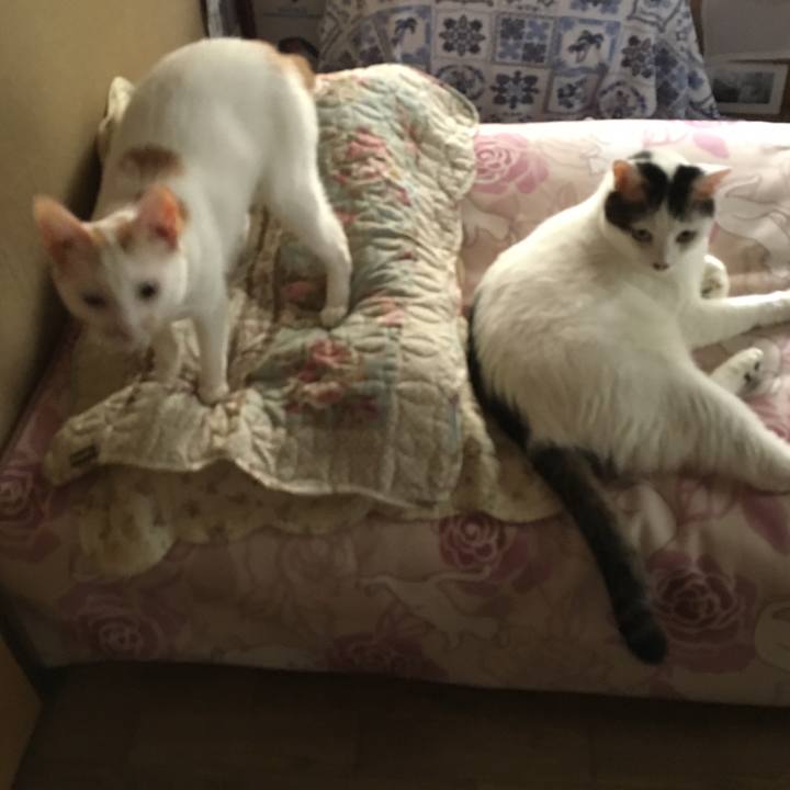 08041078 ed70 41fb 9142 5dfe2c471b44