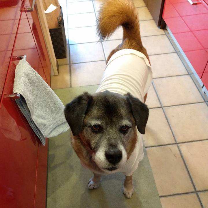 0805038e 4b05 4b85 b1bf b40736ae3ab3