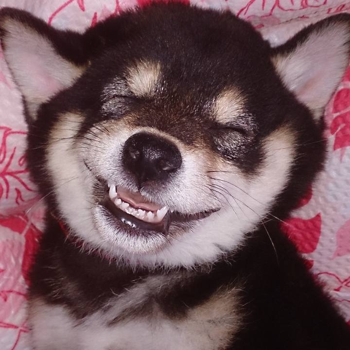 080642a4 0552 4b07 8d5c 421e37354afe