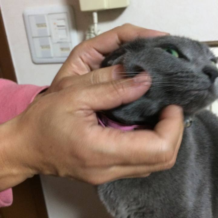 0806dd10 b980 48eb bf1b 9886797ad23e