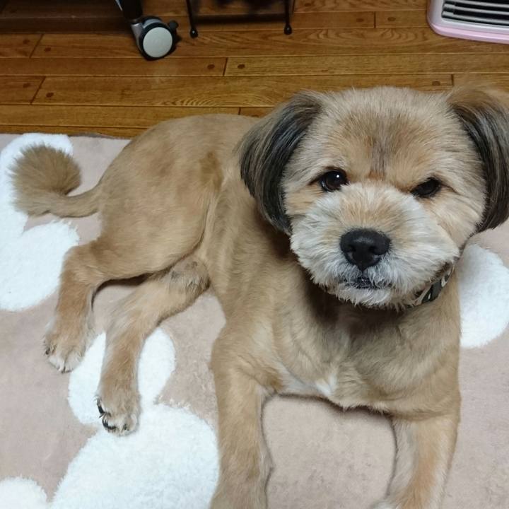 0808bc42 2b72 4273 9f72 5a2d9a728247