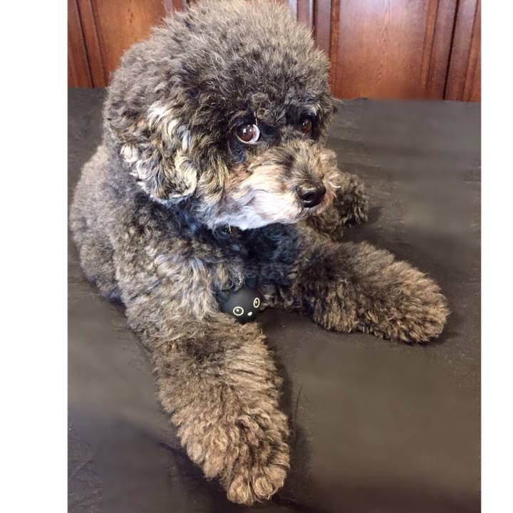 0808bd35 28c5 4e43 9572 f8e6598f6d6f