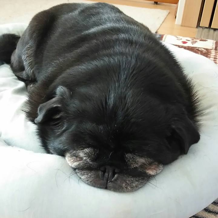 0808ed64 d9be 4e4e a4c7 205582275adc