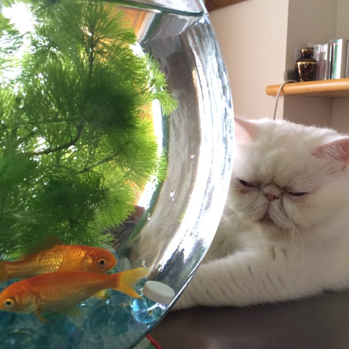 0809b995 9748 462b 80ae d5effe272ae6