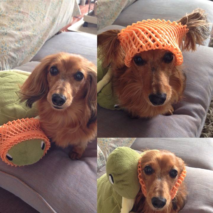 080a55d8 38f8 4ec8 bab3 eb2ffc855091