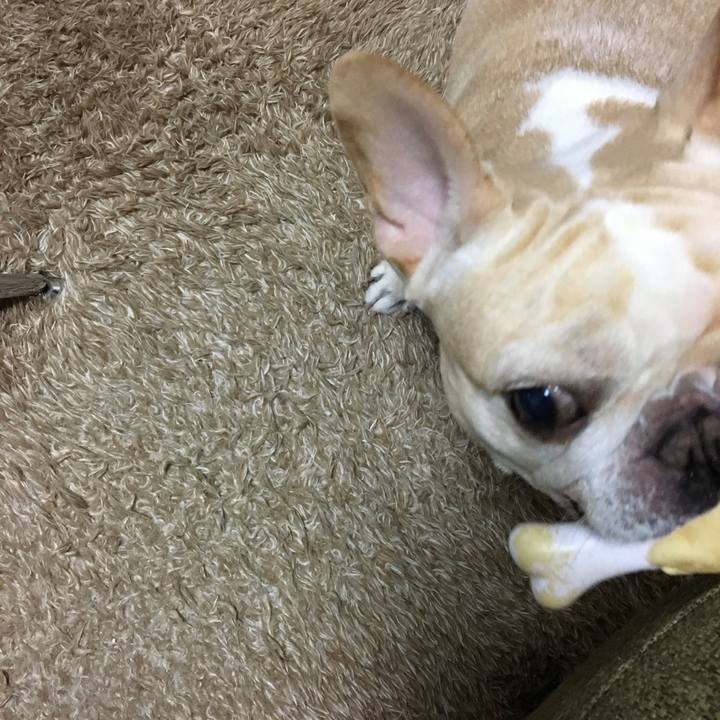 080a942e 10d7 43f7 a76c 53ab88f1f853