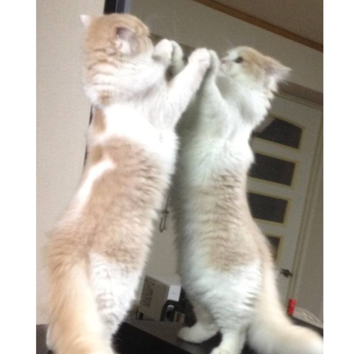 080acd33 932c 4265 b6e4 625f7bed28b6