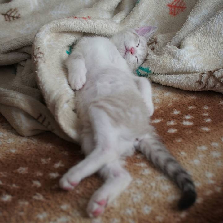 080ad48b 9382 4abd b107 f31b28fb9af0