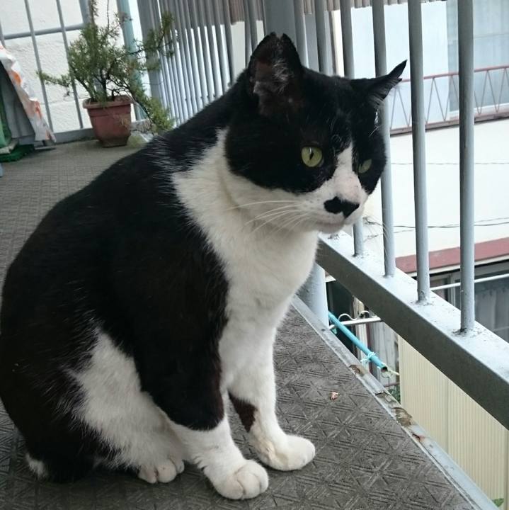 080b6081 2797 4703 a3f4 82d7fda0d06e