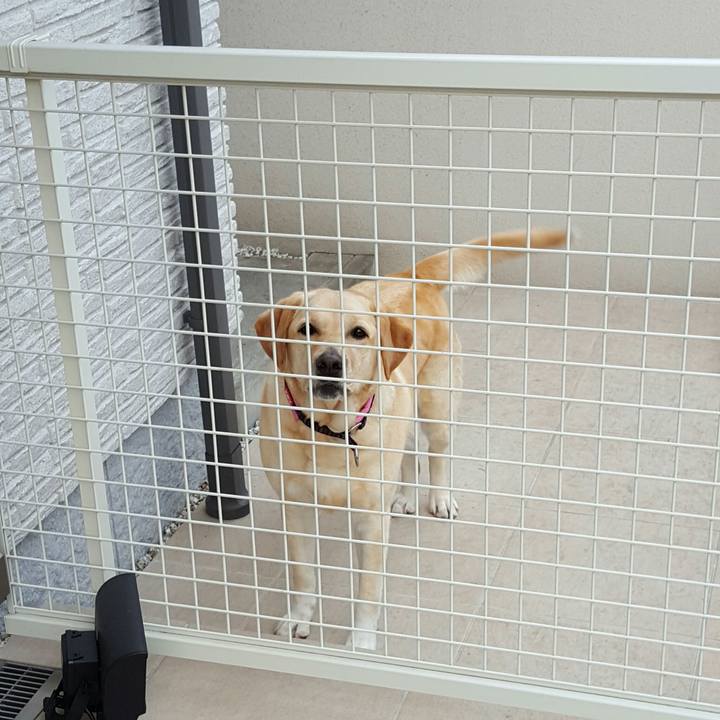 080b79b2 d122 4994 ad34 583c0a75b80f