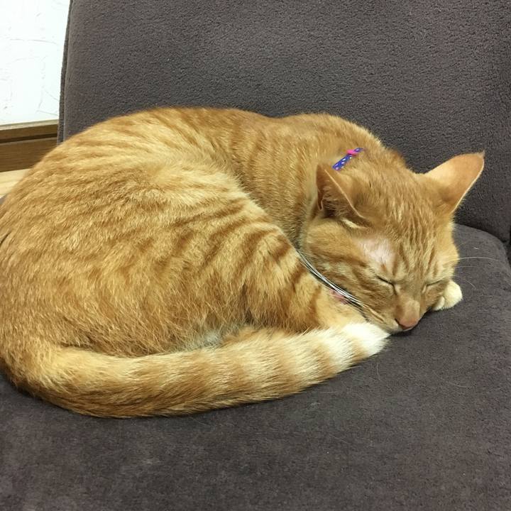 080baa36 001b 459f 8555 59cdabb69749