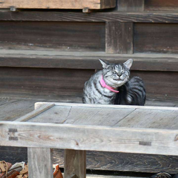 080bb21e cdd4 4725 8c09 69f709e40ad6