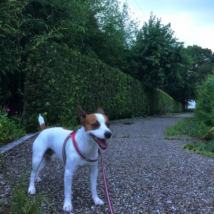 080bb3bb 9edb 417c 9e57 87ce5a607e58