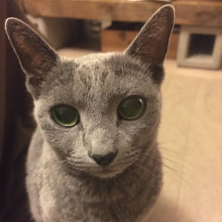 080bd454 e8bf 43da 92e4 75f38b7ce7a6