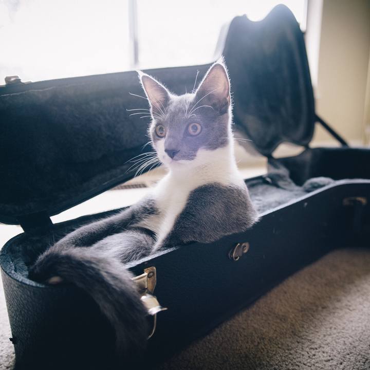 080c586c 34f7 4386 a84b 6aa74821b2b0