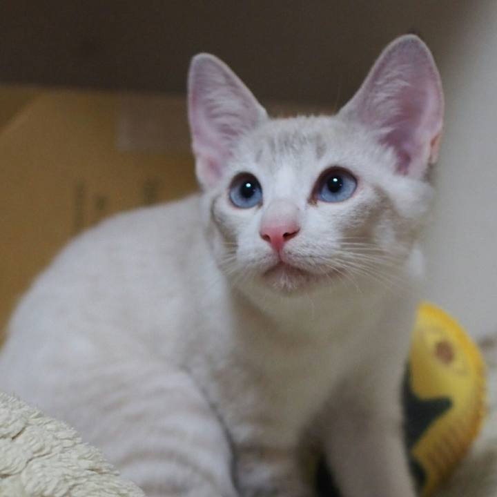 080c9459 87f8 46ff 9b68 4f3db78c569e