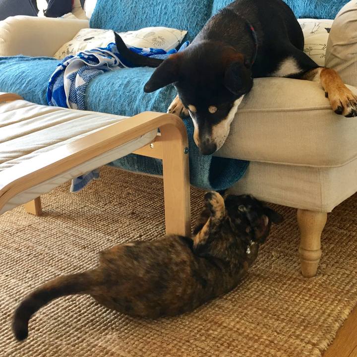 080caeb3 0497 4d71 90ce 5513a4924e29