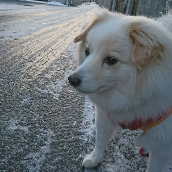 080cc584 1688 4056 a20a 4bfe3f7fd273