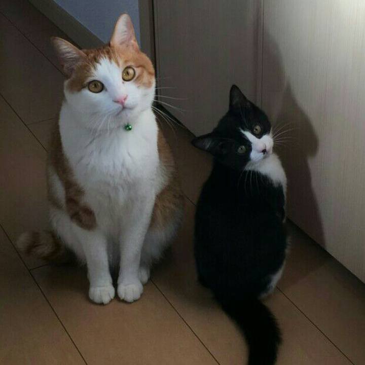 080cf337 aadc 4f5a bebe a69b1e12e4dd