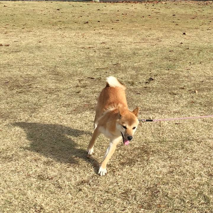 080cfdf4 87df 4d99 a243 0408dec86b06