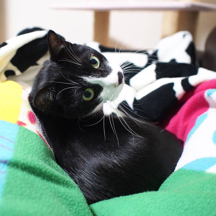 080d0d6e 4e4e 45c9 ba12 333c4a89e97e