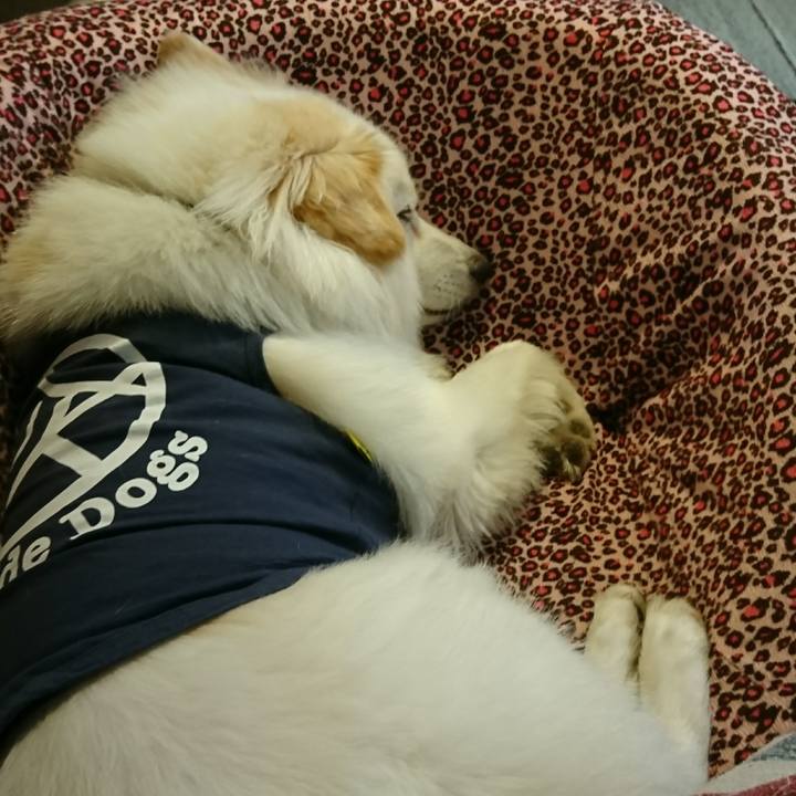 080e18f7 662b 4808 855a 07de62ca3928