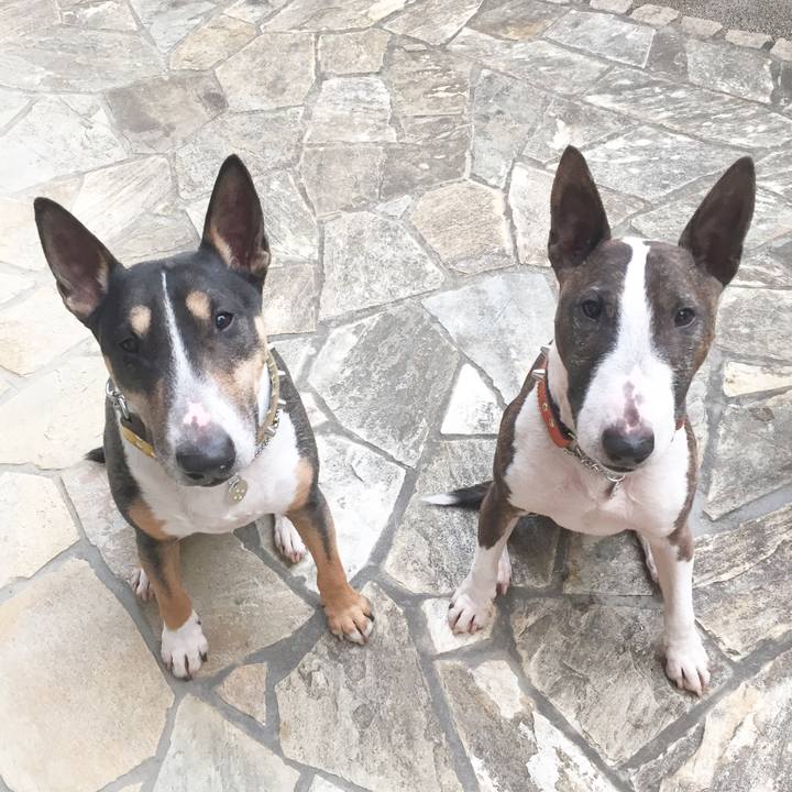 080fb0a0 8ef0 41aa aaaf d1459aeb2554