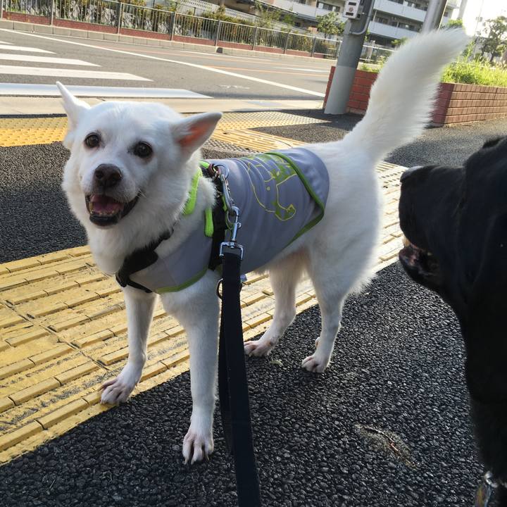 08101ff1 5854 4f37 aa7b fabdf000ec84