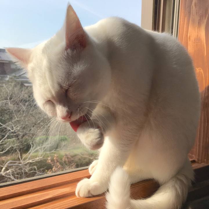 08105d73 8b0b 42a8 9088 df7a4297aaf0