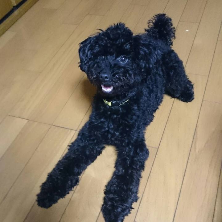 0810cd41 6860 4763 95ad 9178ee3b8cc7