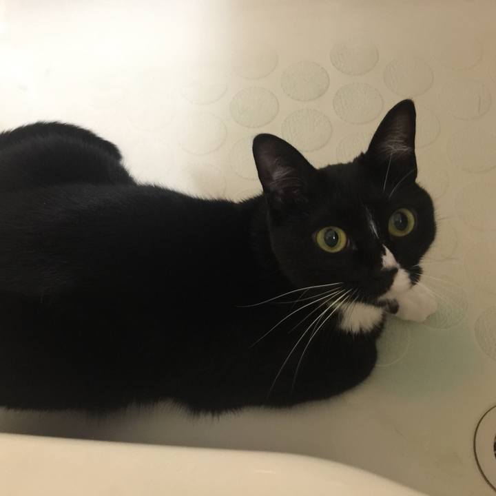 0810dce5 650f 4c19 b64f 1dc2b8b7dfd8