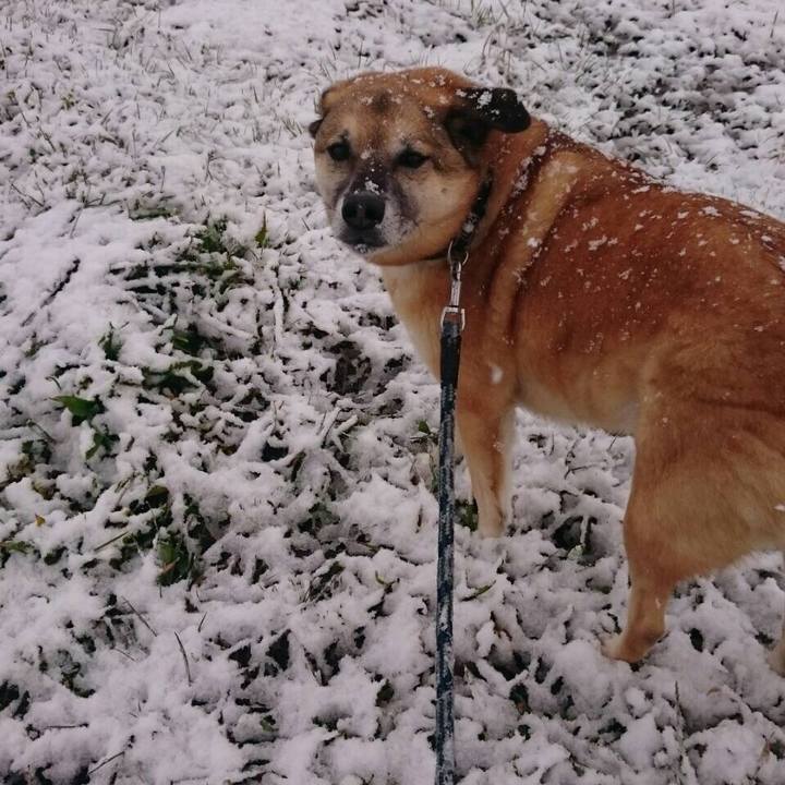 08126e01 3a58 470b 94db dfe943a61fb5