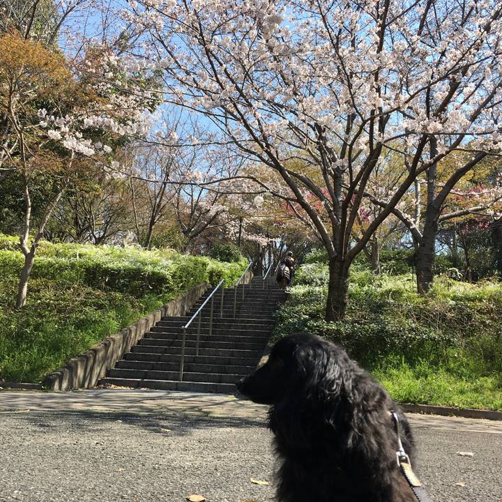 081347dc 6a8e 425b aa98 dd0b37d8d009