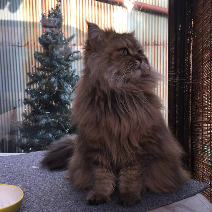 081395f2 52d1 4b4c 9728 73d84119d58a