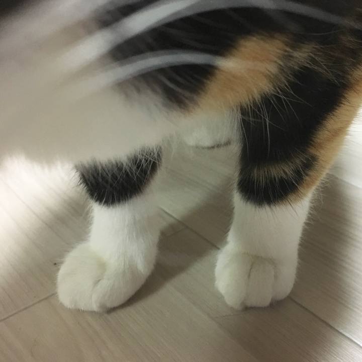 0813cb95 0b11 4bbd 891d c03b02aa63c3