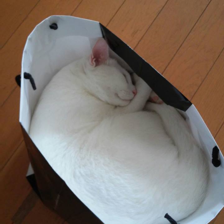 081443a7 d0ce 4646 bb37 6f8f9b1c413e