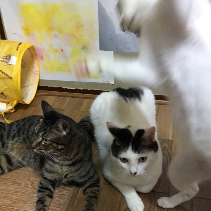 0814c288 384a 4ecd 9d45 d0b2b77cabba