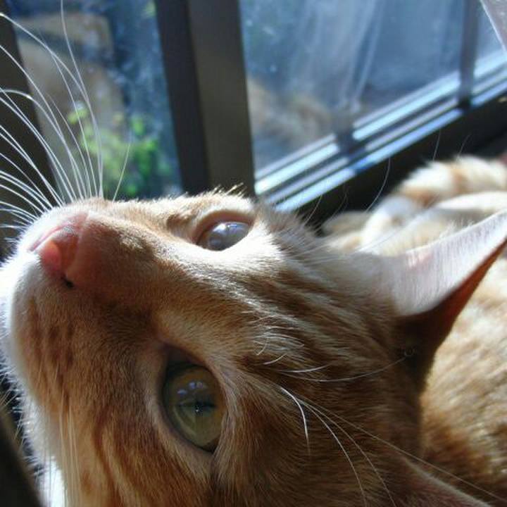 08150026 299d 4378 9db9 35abb18a0d12