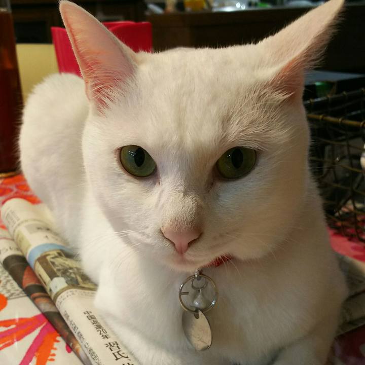 0815611e e79b 4af3 97c5 10d185404fcd