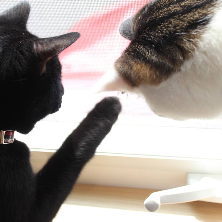 08156acd e051 4cc5 b569 9db28b7c8bce