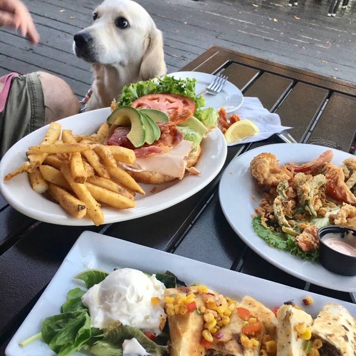 081583b6 dd6b 4227 b63b 0773703cdaeb