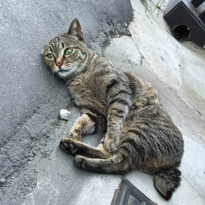 0815a404 53da 4f88 bd5c ca3a3394967a