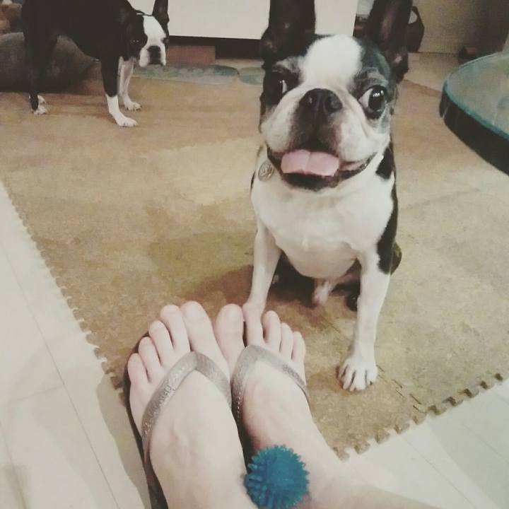 0816edc9 c4ab 4c61 a633 7ae7d5d5c2f1