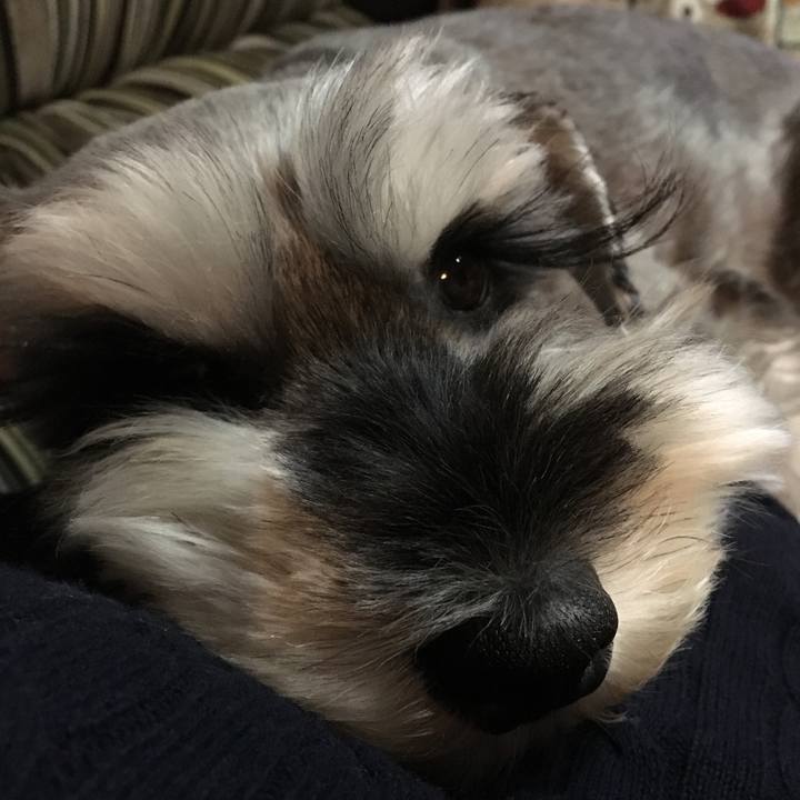 081713c8 732d 4afa 8b81 6ae9622fc947