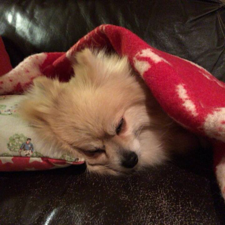 08171b73 4979 40de a835 9ebc5e162cc4