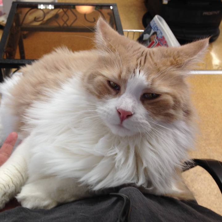 08171fde 65ab 4420 81b8 58a5e81a8a3a