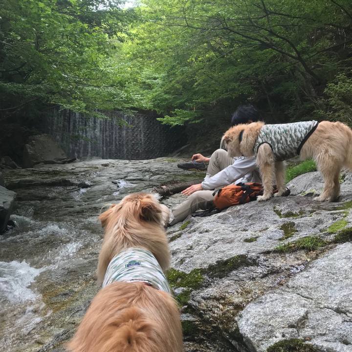 08176ad1 92e6 4e4c bc42 92f833d432bb