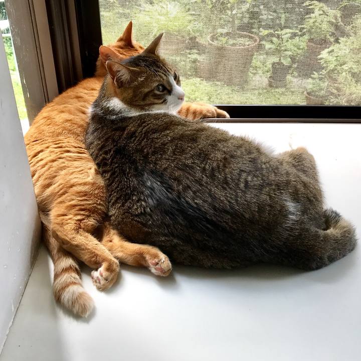 0817bd58 d283 495c 8ae7 e194208867a3