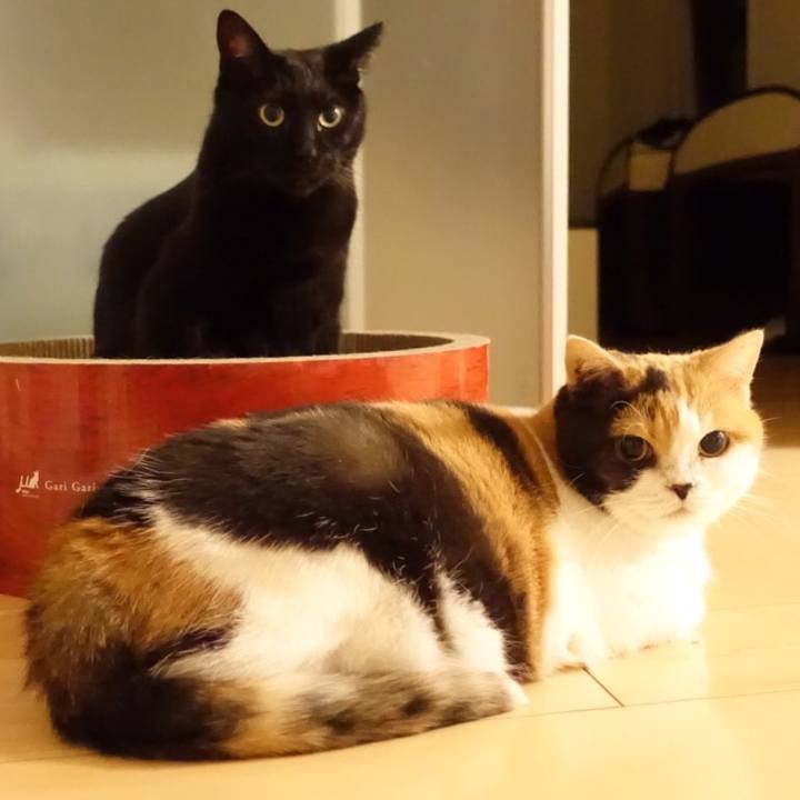 0817c218 13ad 421a 9b71 a19ef541cf8b