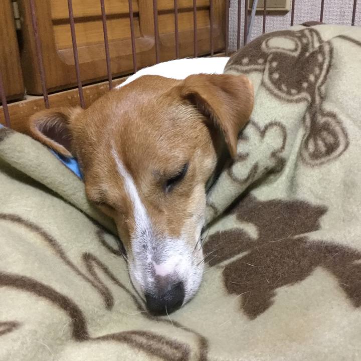 081914e0 e4d0 4b13 ae87 9bbc7f1e5638